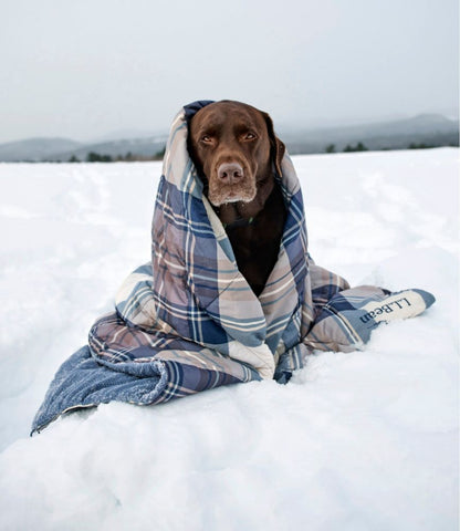 L.L.Bean Fleece Puffer Blanket - US 9789